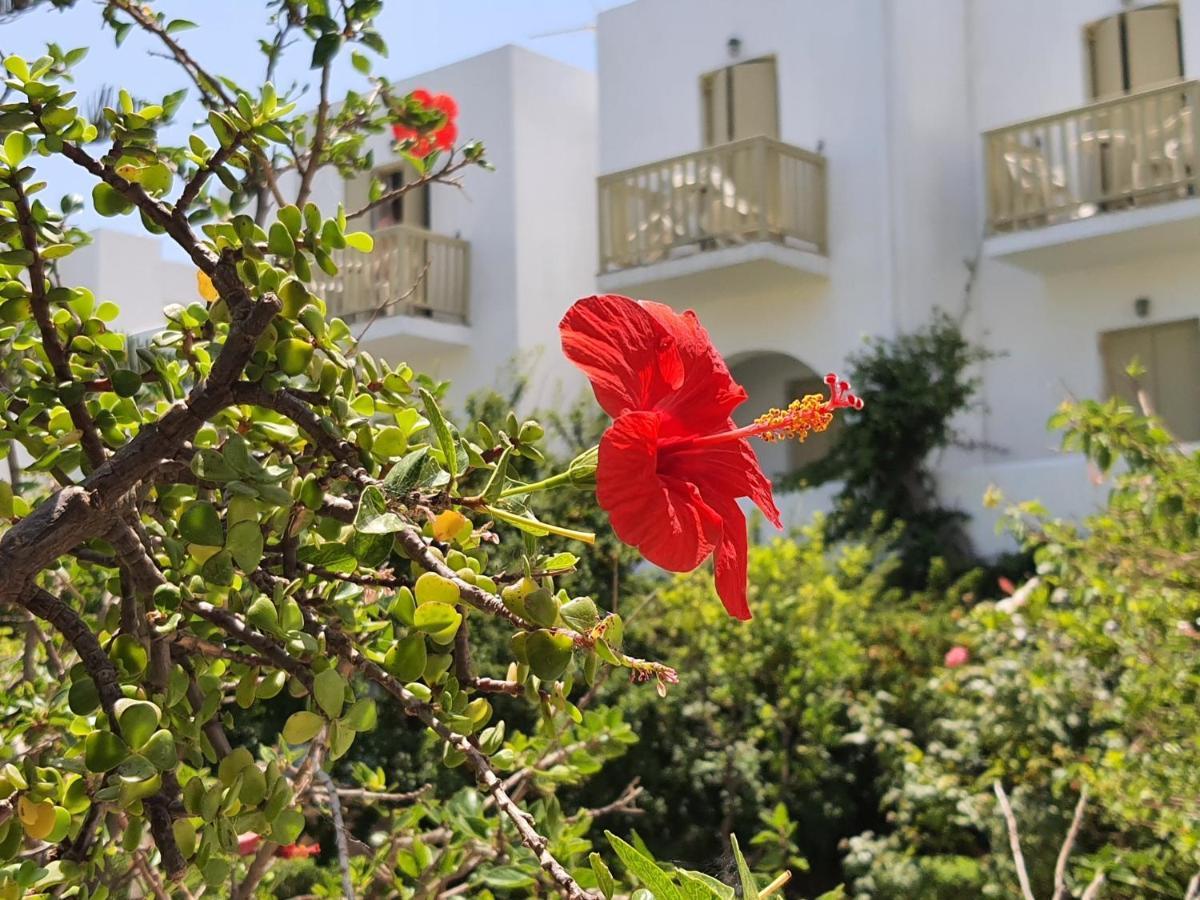 Vidalis Hotel Kionia Eksteriør bilde